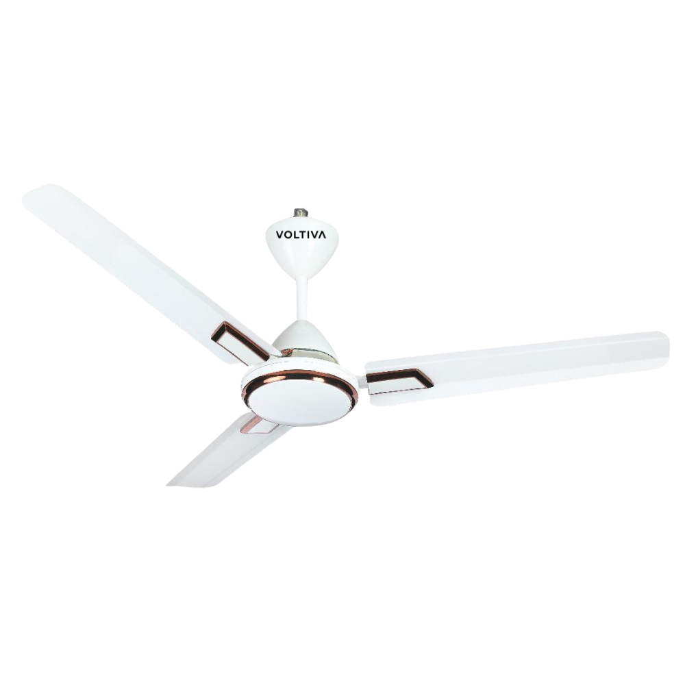 BLDC Ceiling Fan